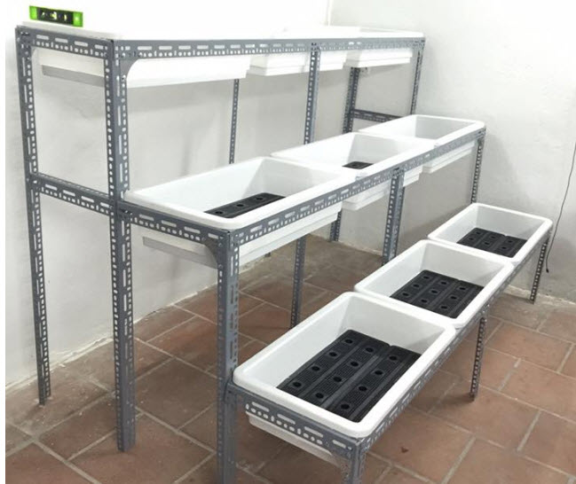 Hướng dẫn làm hệ thống Aquaponics tại nhà - Nhà Đẹp Số (4)